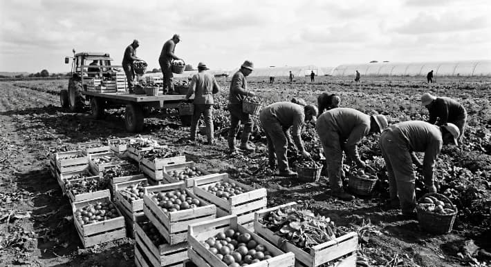 Seasonal work